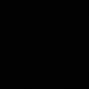 Meet your Posher, Daniela